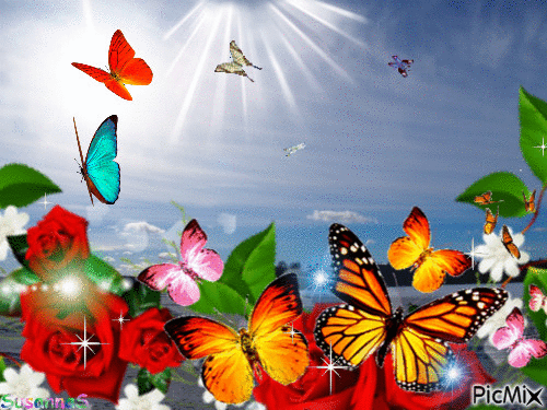 perhosia perhosia perhosia - 無料のアニメーション GIF
