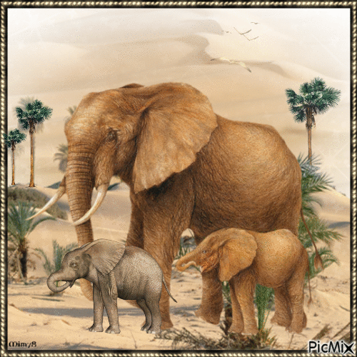 éléphant en famille - Zdarma animovaný GIF