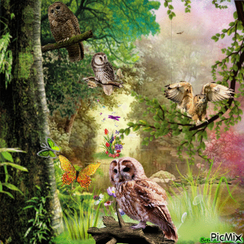 fantasy owl 1 - Gratis animerad GIF