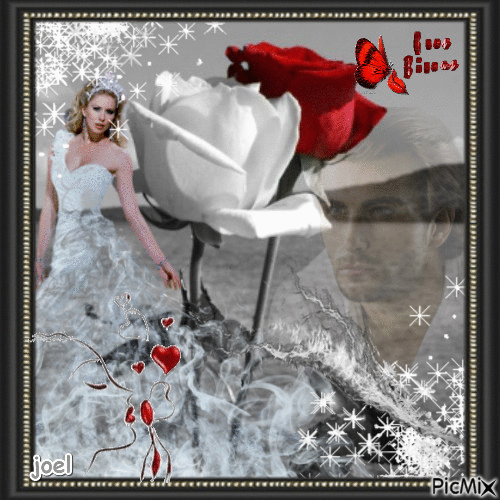 rose de l amour - Gratis animerad GIF