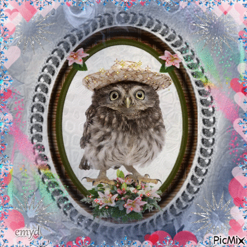 Owly you! - Nemokamas animacinis gif