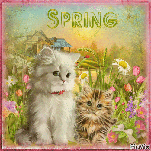 Spring Cats - Free animated GIF