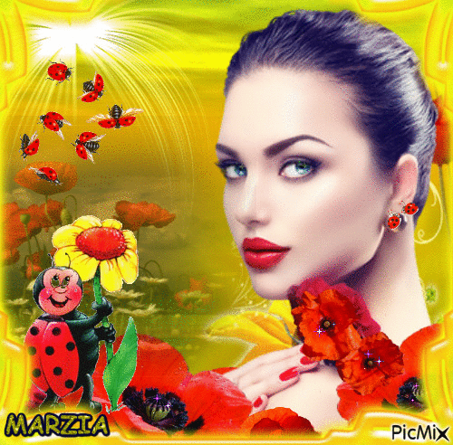 Coquelicots et coccinelles - Free animated GIF