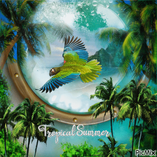 tropical summer - Бесплатный анимированный гифка