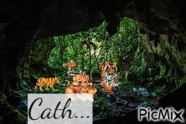des tigres - GIF animé gratuit