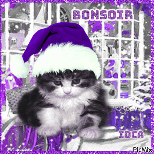 Bonsoir es chatons - Bezmaksas animēts GIF