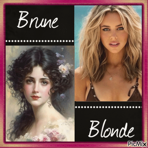 Concours :  Blonde vs Brune - Ücretsiz animasyonlu GIF