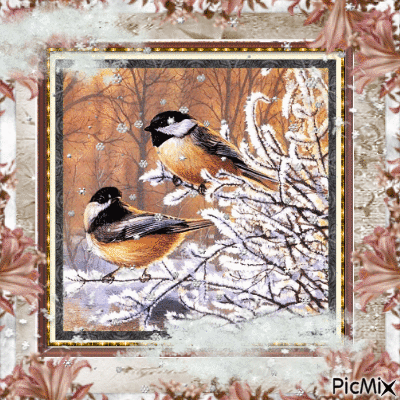 winter snow birds - Animovaný GIF zadarmo