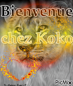 Bannière 2 chez Koko - Gratis animerad GIF