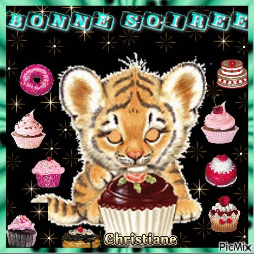 BONNE SOIREE 25 11 - 無料のアニメーション GIF