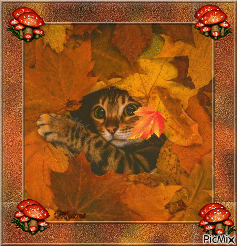 chat automne - Gratis animeret GIF