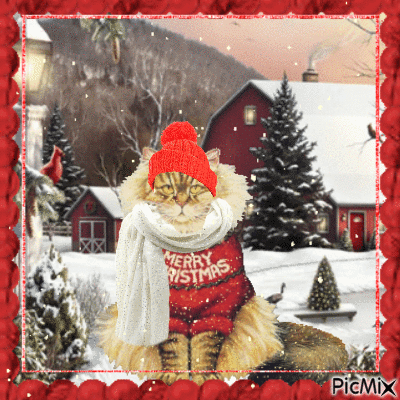 winter cat with sweater and hat - GIF animado gratis