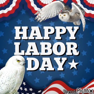 labor day owl - PNG gratuit