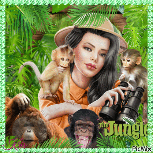 Les singes de la jungle, différentes espèces - Δωρεάν κινούμενο GIF