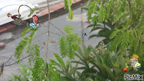 Pesca na Lage - GIF animado grátis