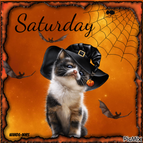 Saturday-halloween-cats - Animovaný GIF zadarmo