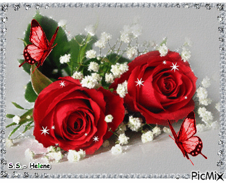 Roses and lillies. - Nemokamas animacinis gif