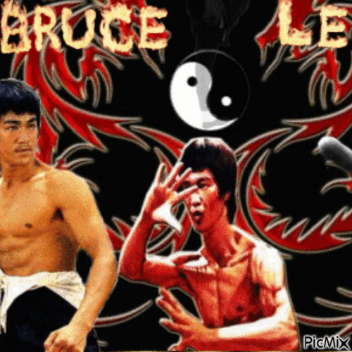 Bruce Lee - Zdarma animovaný GIF