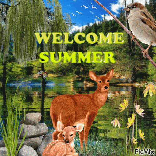 summer - Бесплатный анимированный гифка