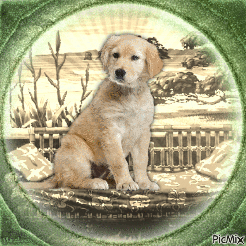 Labrador Retriever - Sepia et vert - GIF animasi gratis