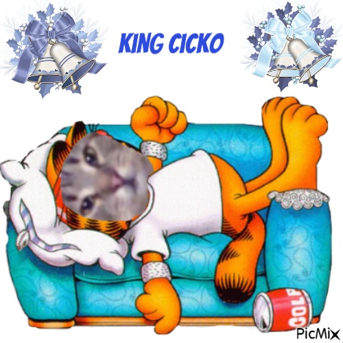 King Cicko - zdarma png