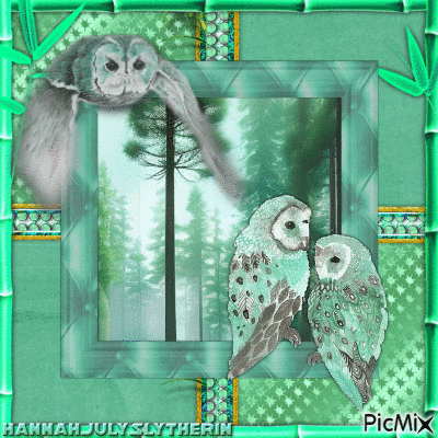 ♦♦♦Owls in Mint Green Tones♦♦♦ - GIF animado grátis