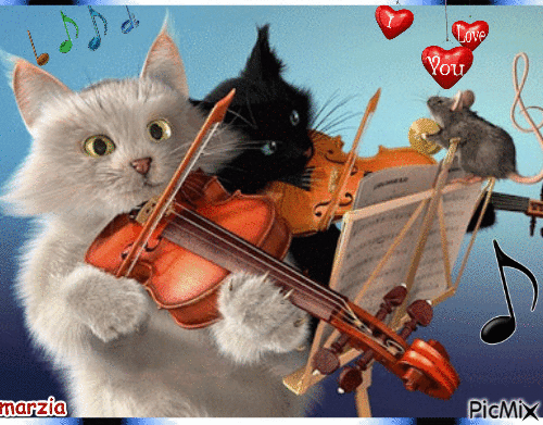 mes amours chats - Besplatni animirani GIF