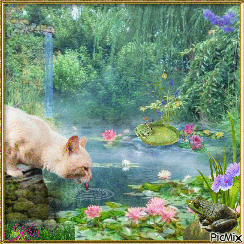 Le chat au bord de l'étang - Gratis geanimeerde GIF