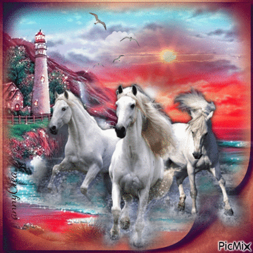 Ma passion pour les chevaux - Δωρεάν κινούμενο GIF