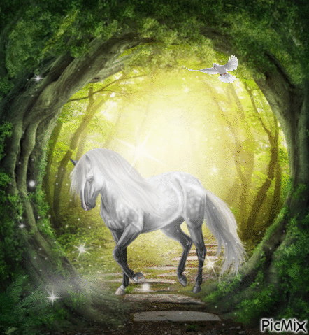 white horse - Zdarma animovaný GIF