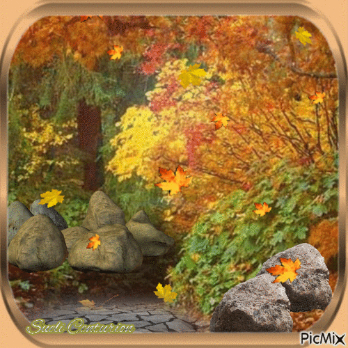 Folhas e pedras - Gratis animerad GIF