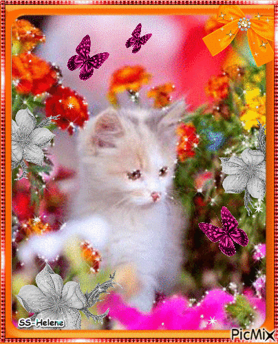 Cat among flowers. - GIF animé gratuit