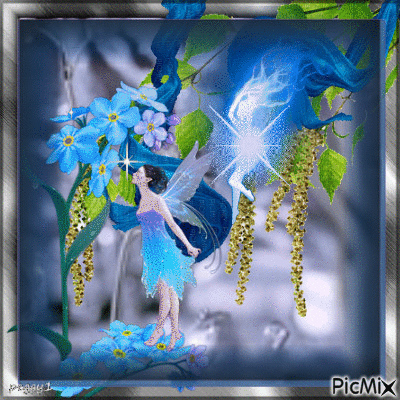 fairies - Darmowy animowany GIF