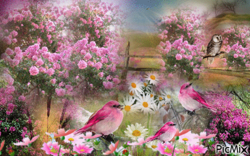 GARDEN OF PINK ROSE BUSHES, DASIES, PINK FLOWERS BLOWING 3 PINK BIRDS, AN OWL SITTING ON AN OLD FENCE RAIL AND AN OWL FLYING TOWARD THE FENSE. - Free animated GIF