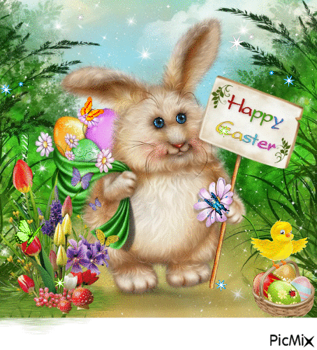 кролик - Ingyenes animált GIF