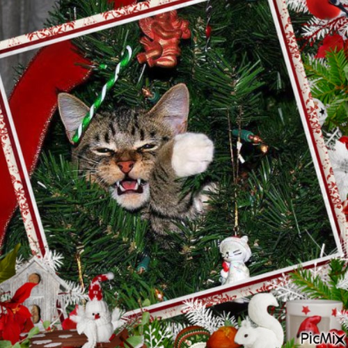 Joyeux chat de Noël - png gratis
