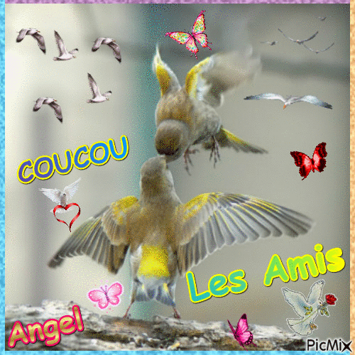 coucou les amis - Δωρεάν κινούμενο GIF