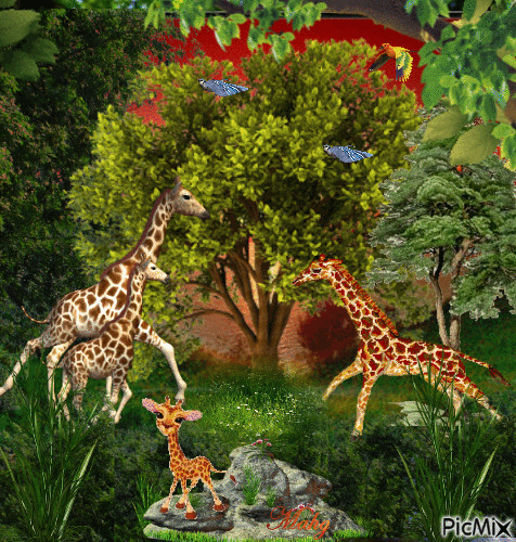 "Girafes" - GIF animé gratuit