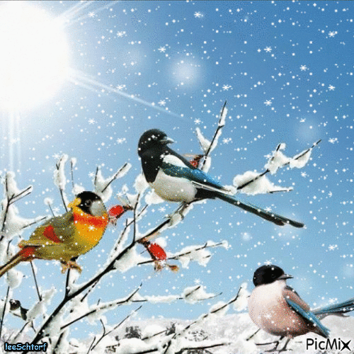 Krásný zimní den-dobré ráno - Besplatni animirani GIF