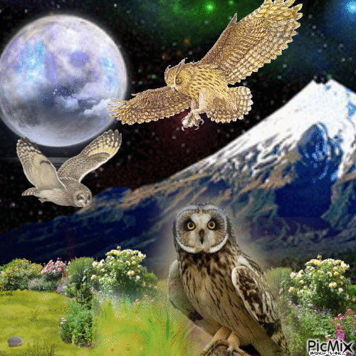 OWL FANTASY 3 - Безплатен анимиран GIF