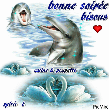 les dauphins vous souhaite une bonne soirée bisous - Ingyenes animált GIF