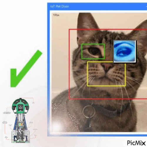 intersect between cat human and google - GIF animé gratuit
