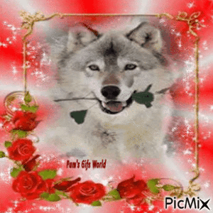 Sparkling Wolf - Free animated GIF