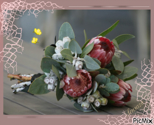 Bouquet of native Australian flowers - GIF animé gratuit