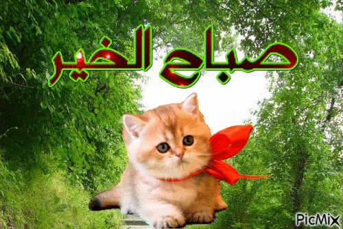 wfhp hgodnصباح الخير - Darmowy animowany GIF