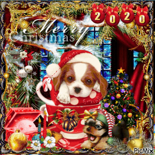 Joyeux Noël chien - Darmowy animowany GIF