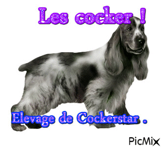 Les cocker ! - Besplatni animirani GIF