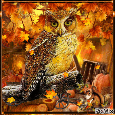 Autumn Owl - GIF animado grátis