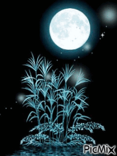 belle nuit - Ilmainen animoitu GIF