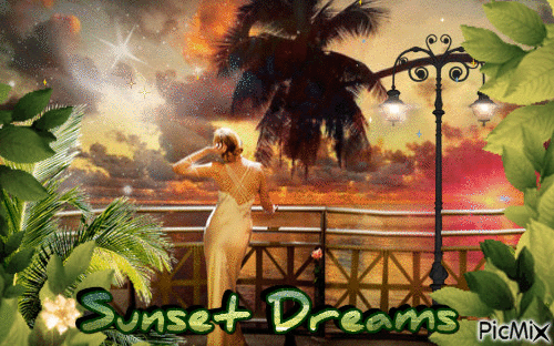 sunset dreams - 免费动画 GIF